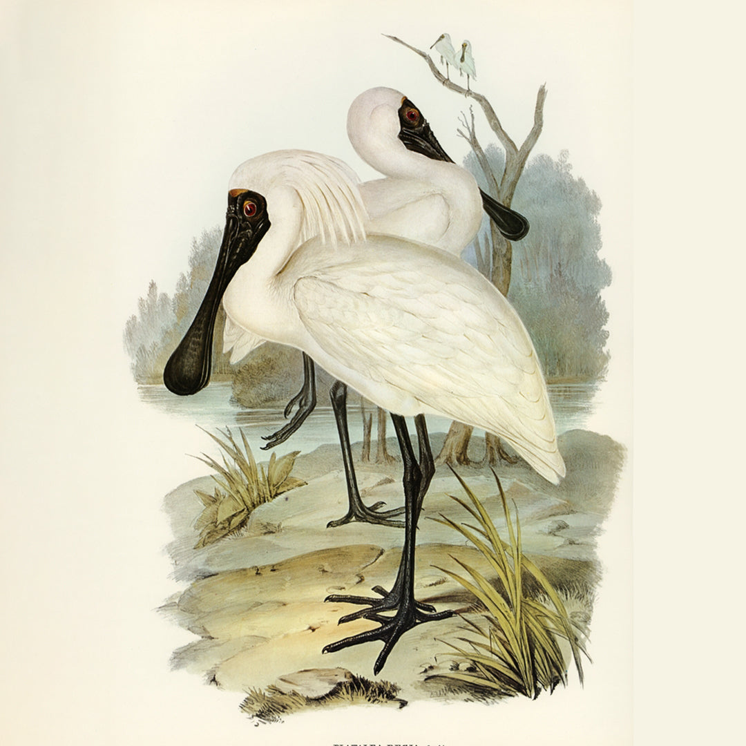 Artist Zone – Premium Art Collection