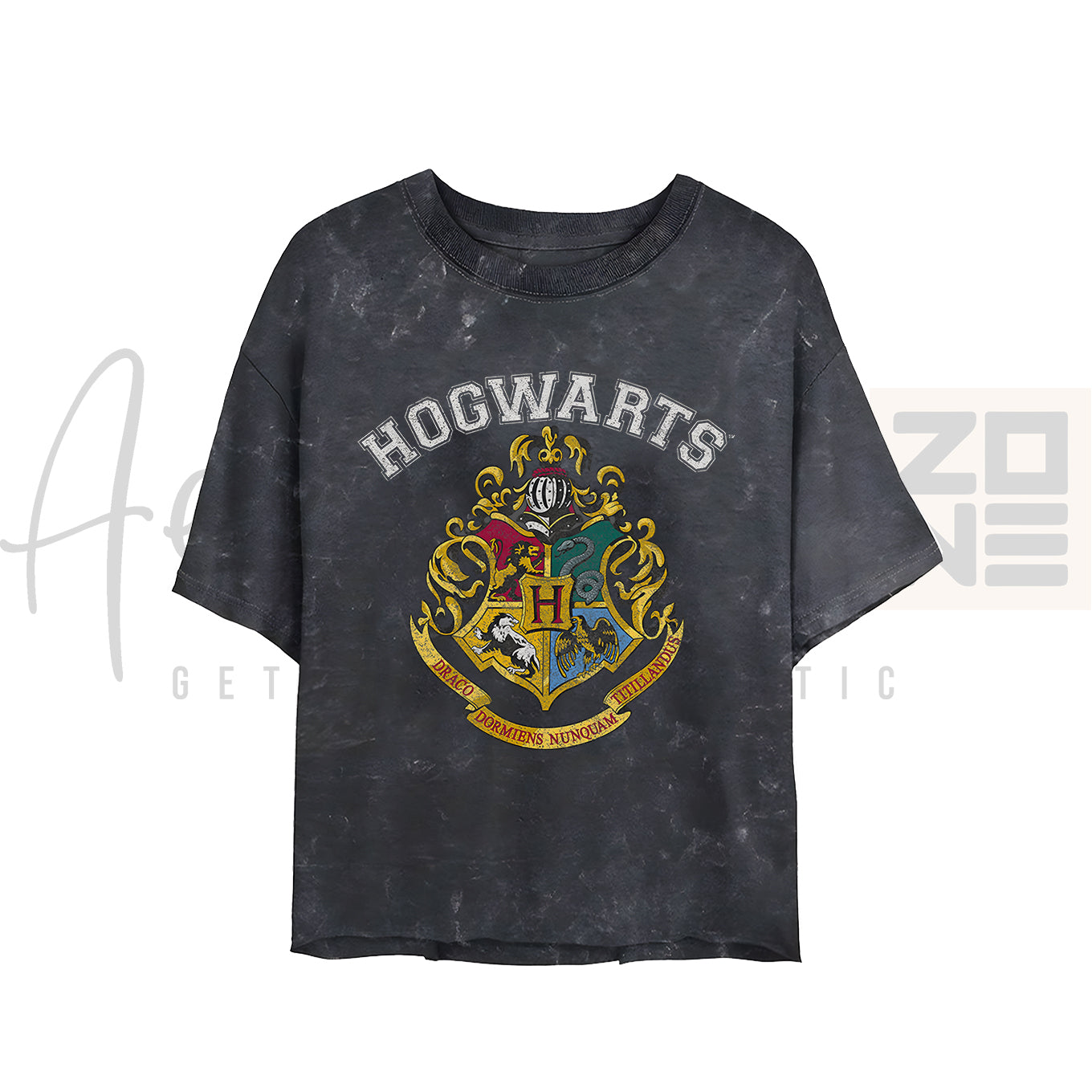 Hogwarts Pride – Text & Logo Acid Wash Tee